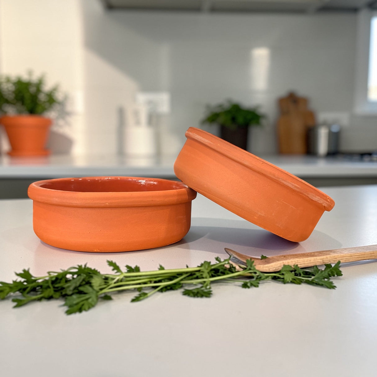 Two terracotta pots on a kitchen counter with herbs and a wooden spoon.